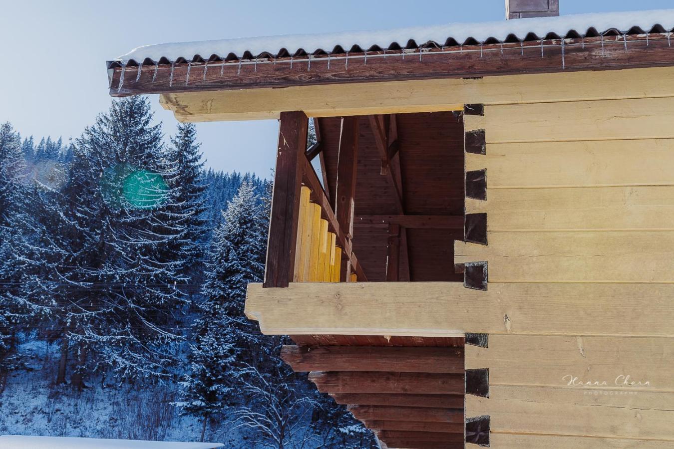 Villa 7+Я à Verkhovyna Extérieur photo