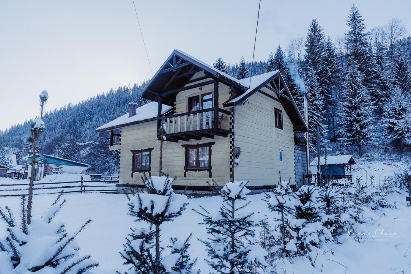 Villa 7+Я à Verkhovyna Extérieur photo